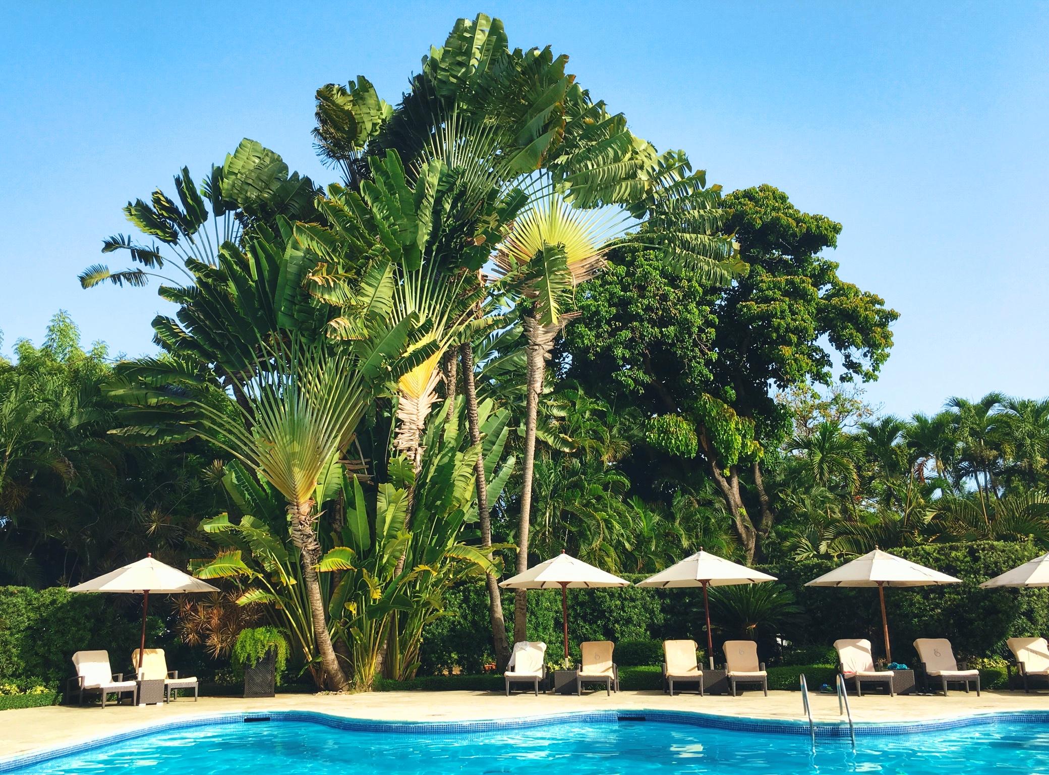 El Embajador, A Royal Hideaway Hotel サントドミンゴ エクステリア 写真 The swimming pool at the hotel